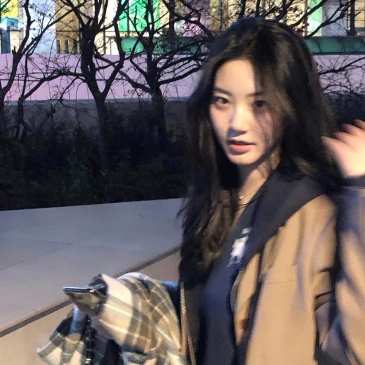 戆子记